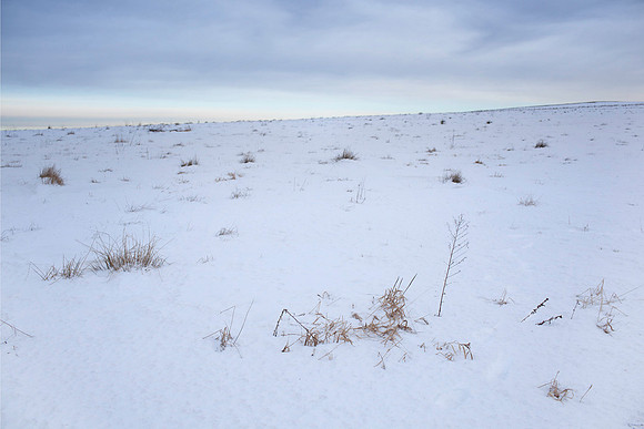 Field I (Western Massachusetts)