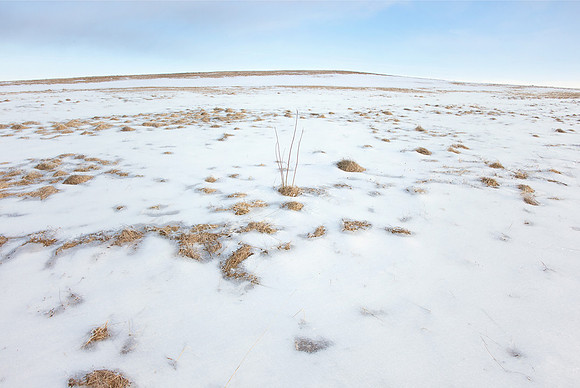 Field IV (Western Massachusetts)