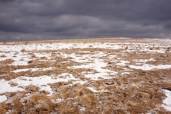 Field III (Western Massachusetts)