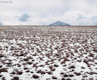 Untitled (Wyoming)