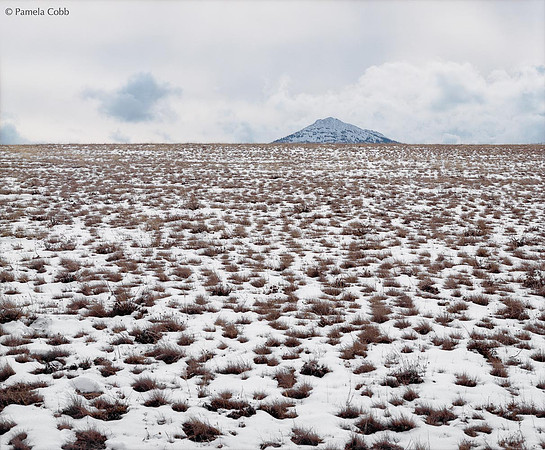 Untitled (Wyoming)