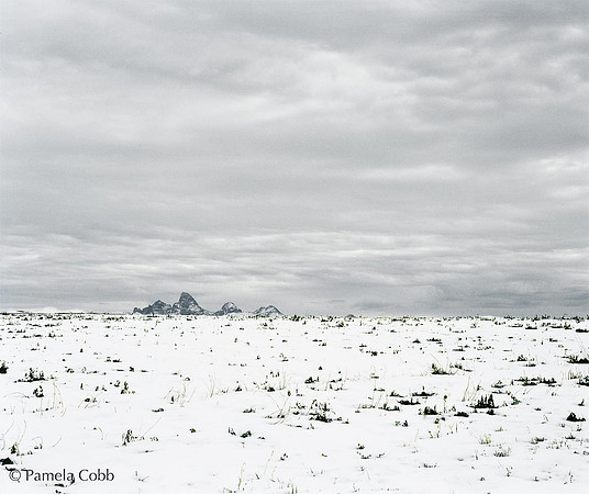 Untitled (Behind the Tetons)